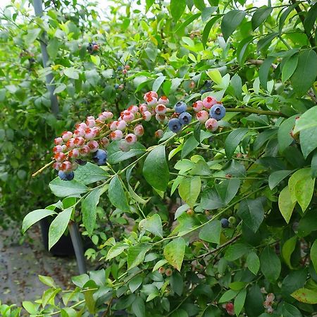 Yamano-Ie Hiraodai Kitakyushu Ngoại thất bức ảnh