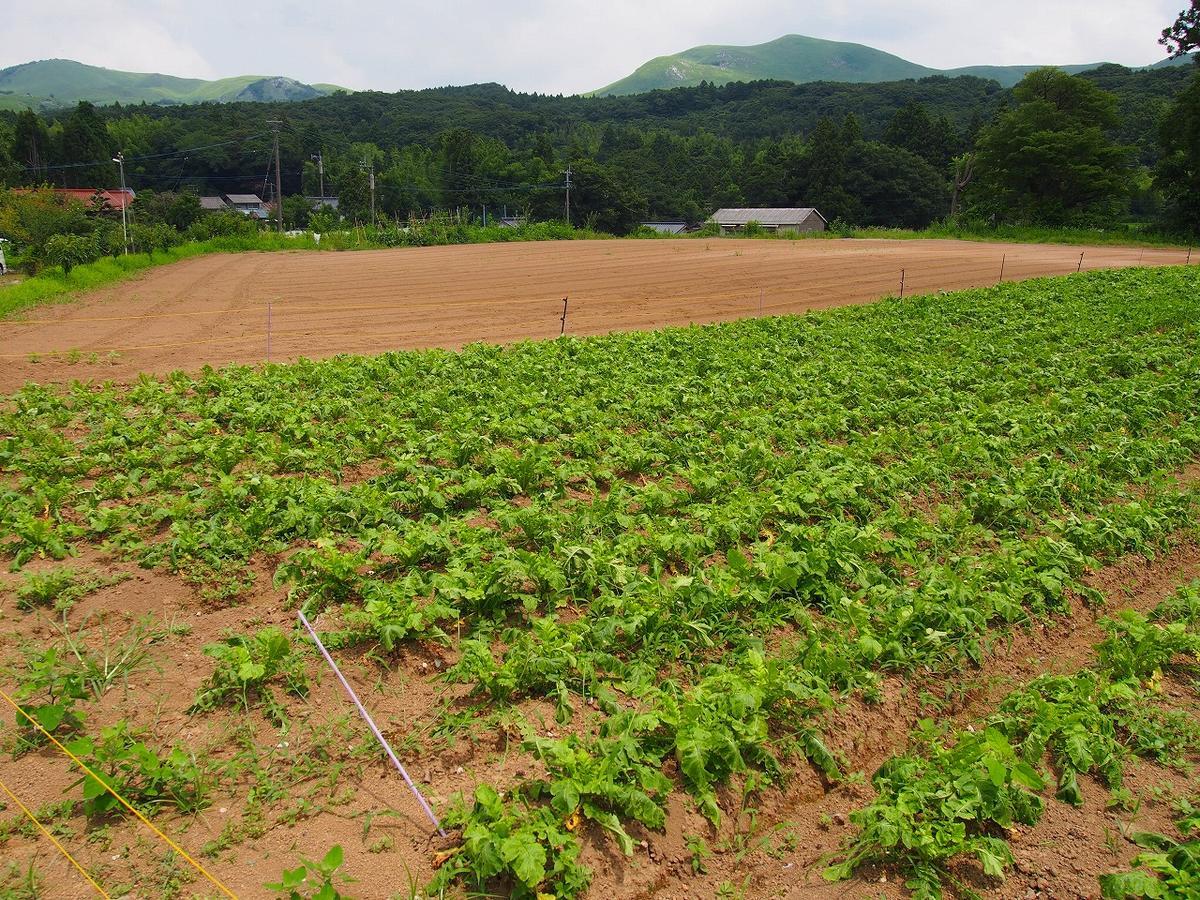 Yamano-Ie Hiraodai Kitakyushu Ngoại thất bức ảnh