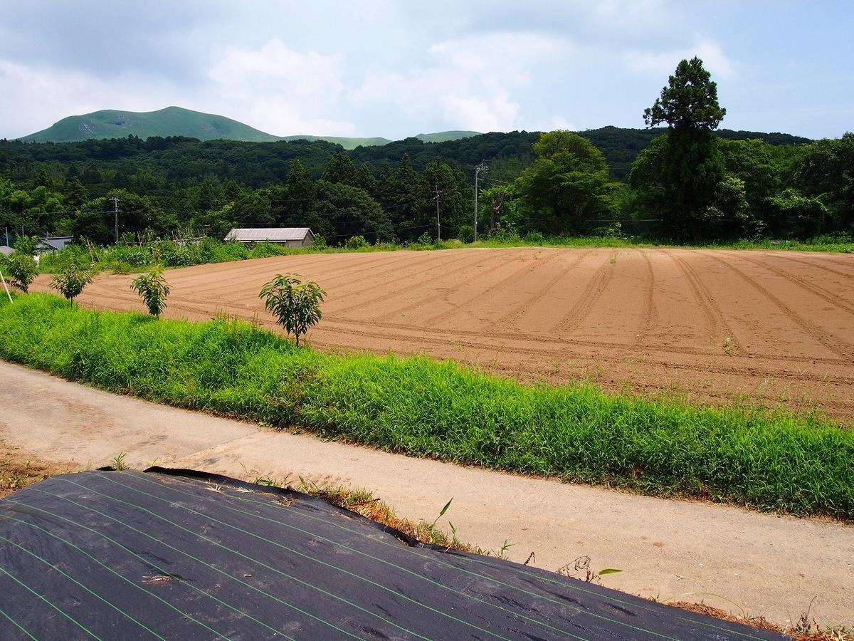 Yamano-Ie Hiraodai Kitakyushu Ngoại thất bức ảnh